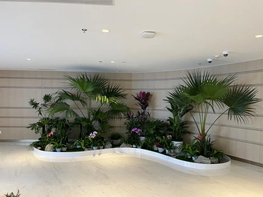 慈溪植物出租价格实惠